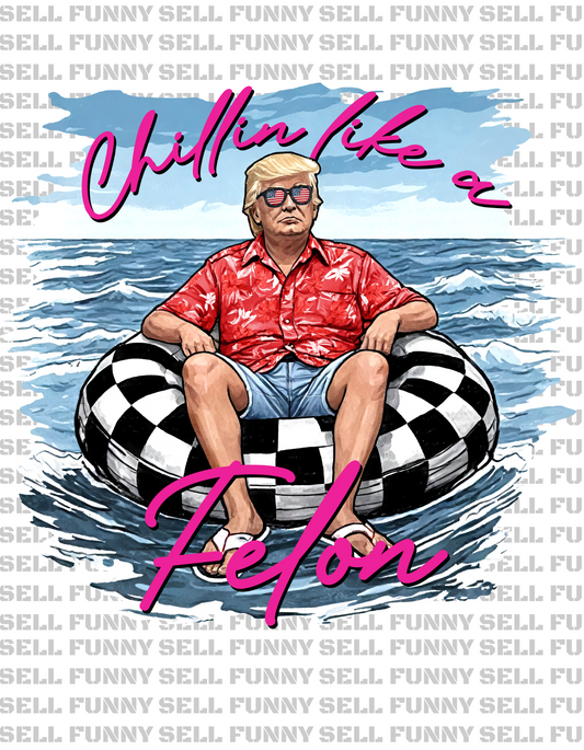 Donald Trump Chillin Like A Felon Digital Download